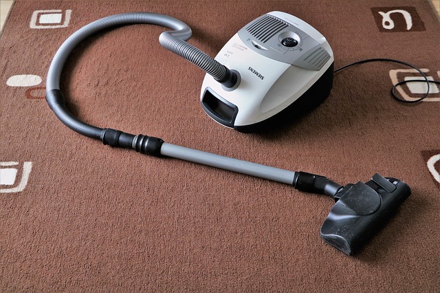 Successful Experts Share Their Hiring A Carpet Cleaner Advice With You