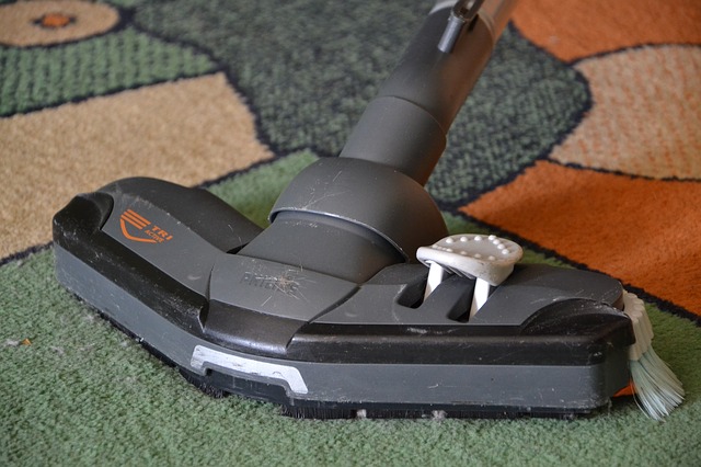 Want A Cleaner Carpet How A Carpet Cleaning Company Can Help