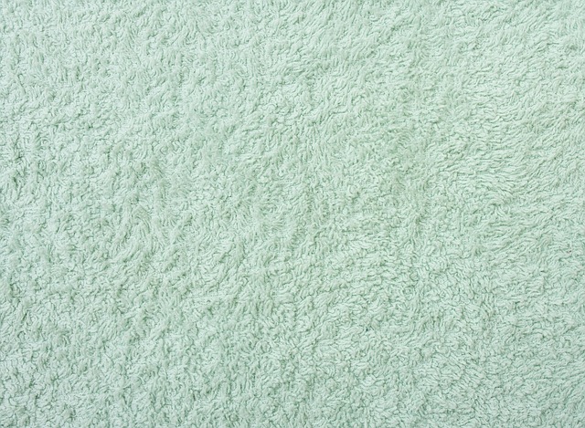Get The Information You Need About Carpet Cleaning With These Easy...
