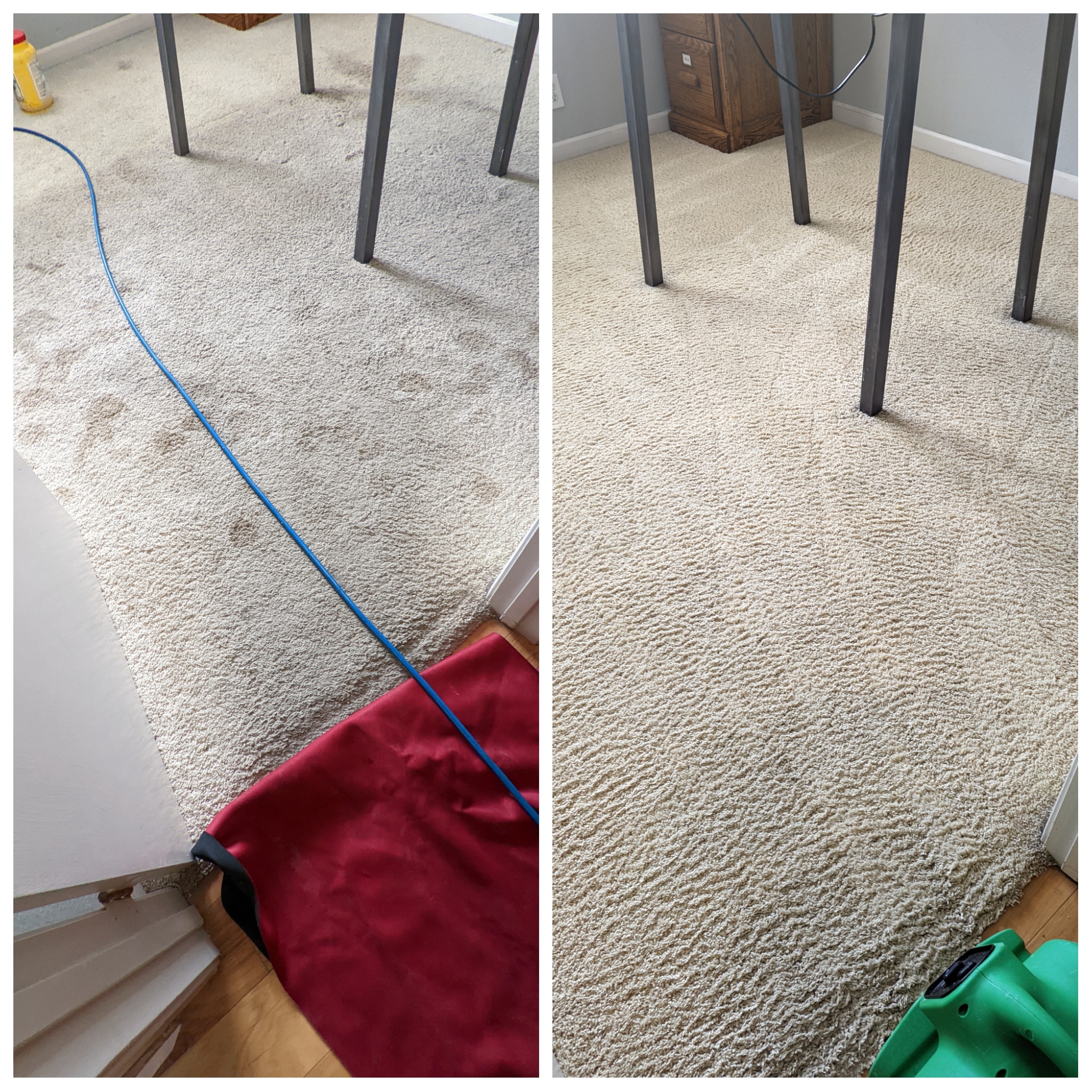 Professional carpet cleaning in Fairfield CA